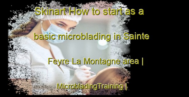 Skinart How to start as a basic microblading in Sainte Feyre La Montagne area | MicrobladingTraining | MicrobladingClasses | SkinartTraining-France